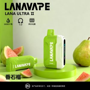 LANA16000口 番石榴 換彈拋棄式電子煙 台灣現貨 711貨到付款 1 LANA16000口 番石榴 拋棄式電子煙 台灣現貨
