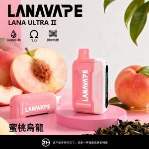 LANA16000口 蜜桃烏龍 換彈拋棄式電子煙 台灣現貨 711貨到付款 1 LANA16000口 蜜桃烏龍 拋棄式電子煙 台灣現貨